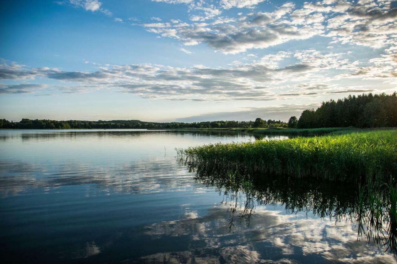 Zielna Farma Villa Blanki Bagian luar foto