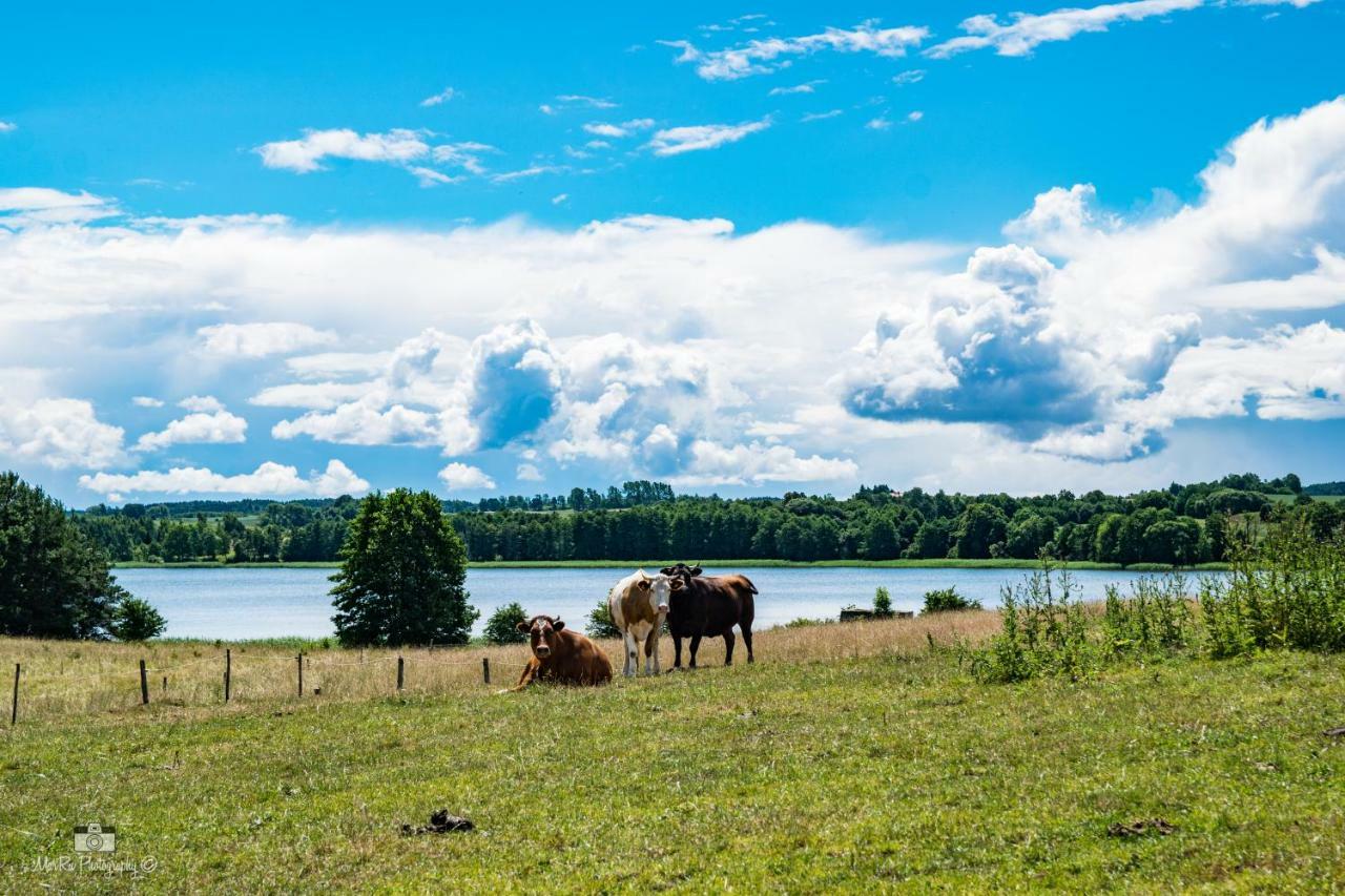 Zielna Farma Villa Blanki Bagian luar foto